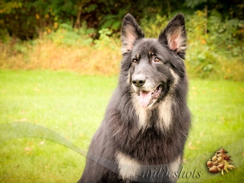 zeus-2017_0334